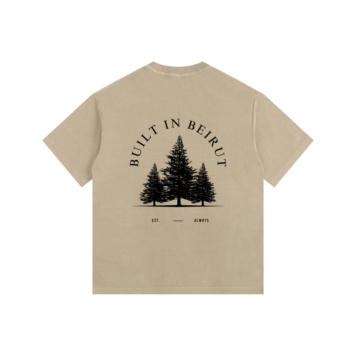 Vintage Washed Oversized Cotton T-Shirt