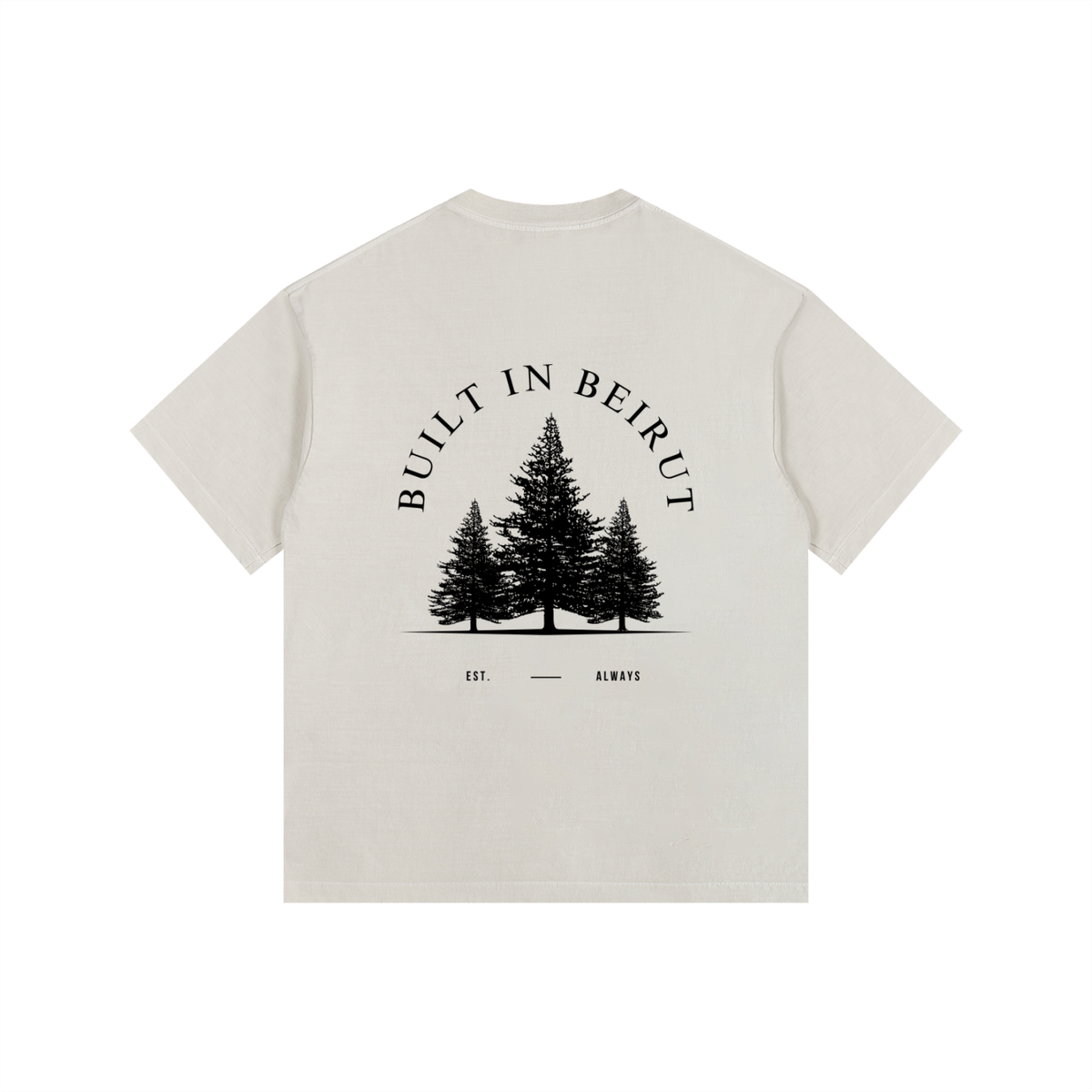 Vintage Washed Oversized Cotton T-Shirt