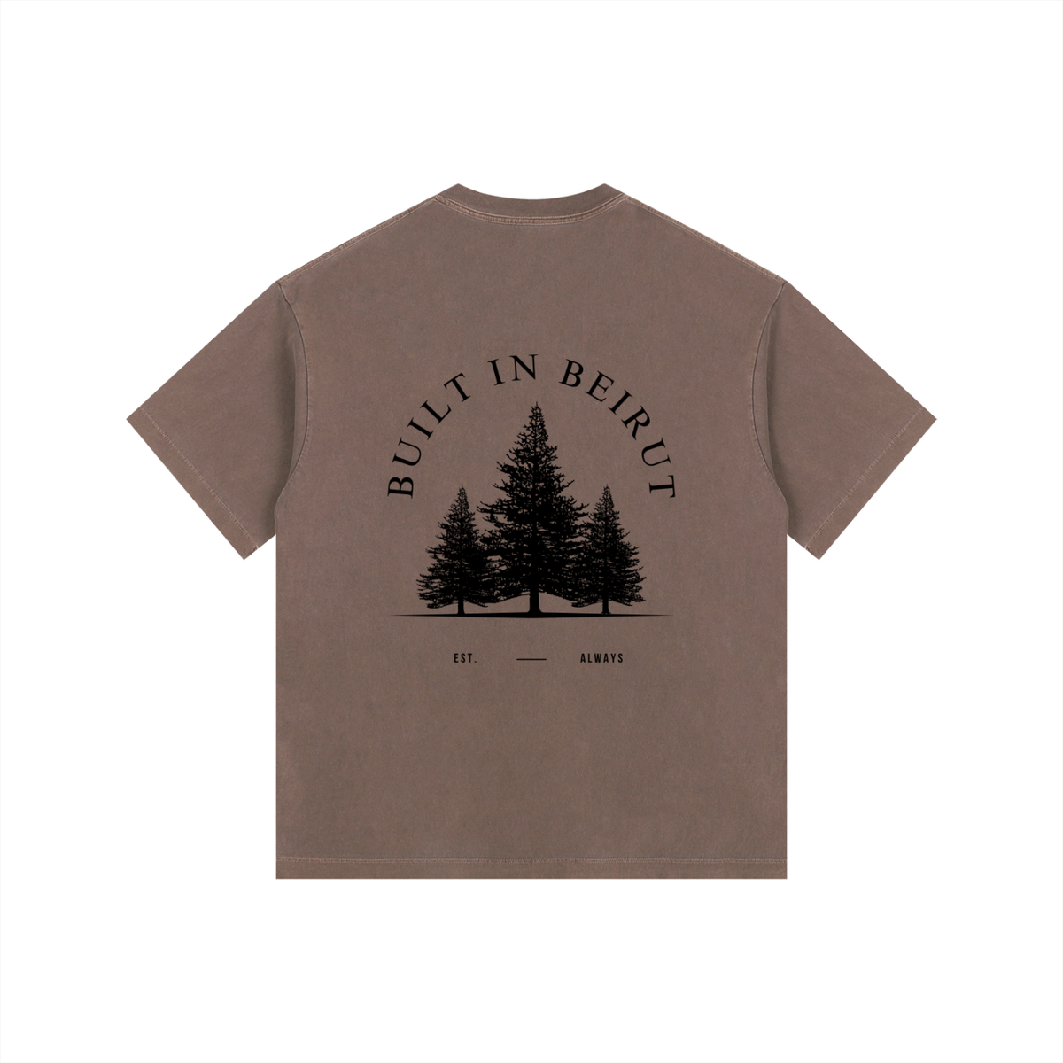 Vintage Washed Oversized Cotton T-Shirt
